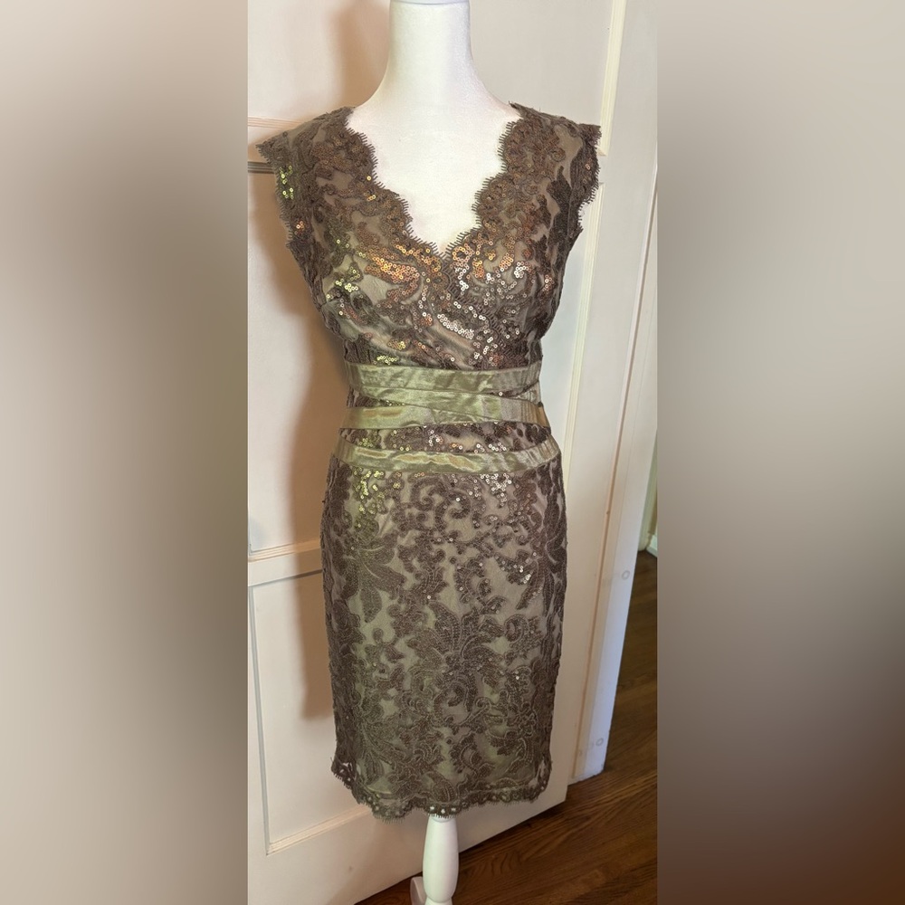 Elegant Lace V-Neck Dress